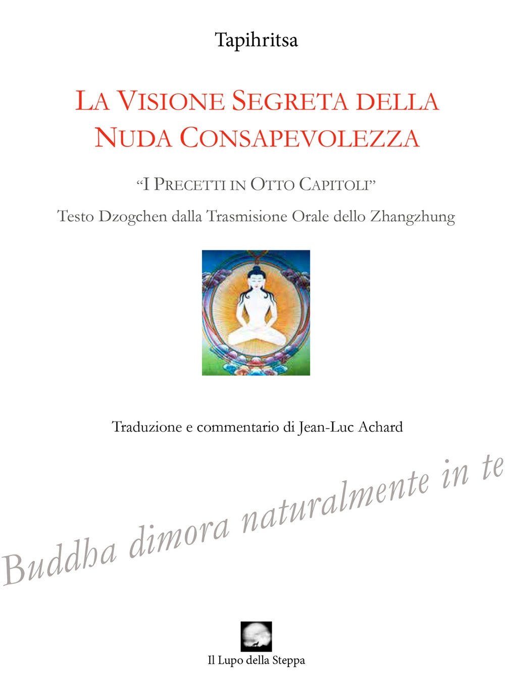 La visione segreta della nuda consapevolezza. «I precetti in otto capitoli» - Taiphiritsa