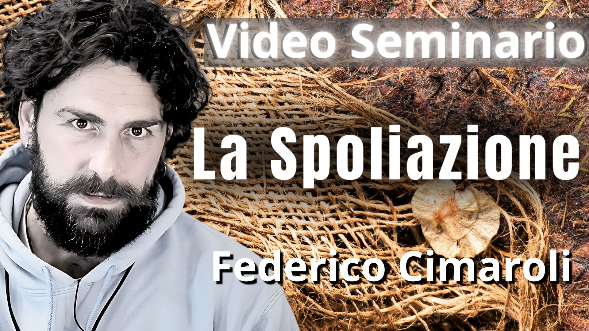 Video-seminario "La Spoliazione" - Federico Cimaroli (scaricabile e visibile in streaming senza limite)