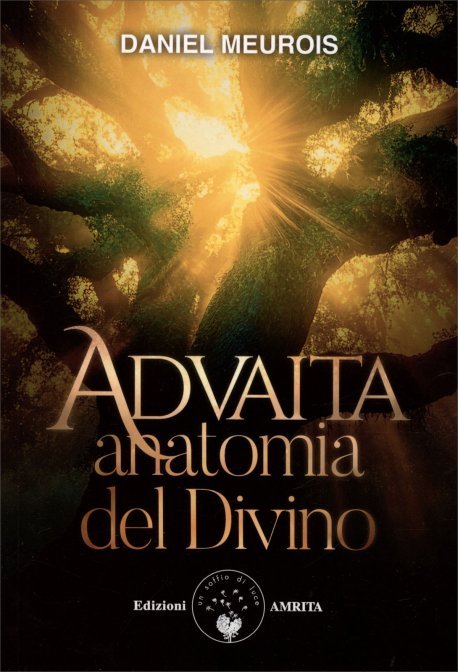 Advaita. Anatomia del Divino - Daniel Meurois