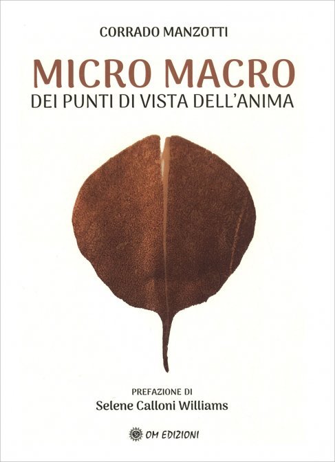 Micro Macro. Dei punti di vista dell'anima - Corrado Manzotti