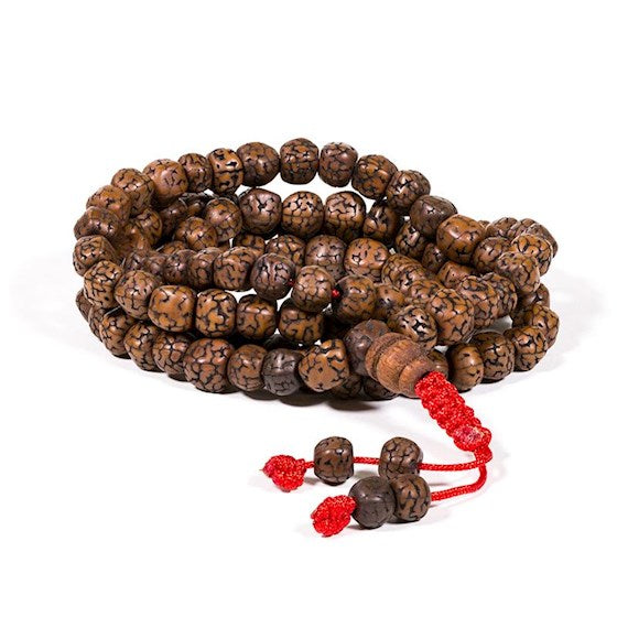 Mala Rudraksha 108 grani lucidati