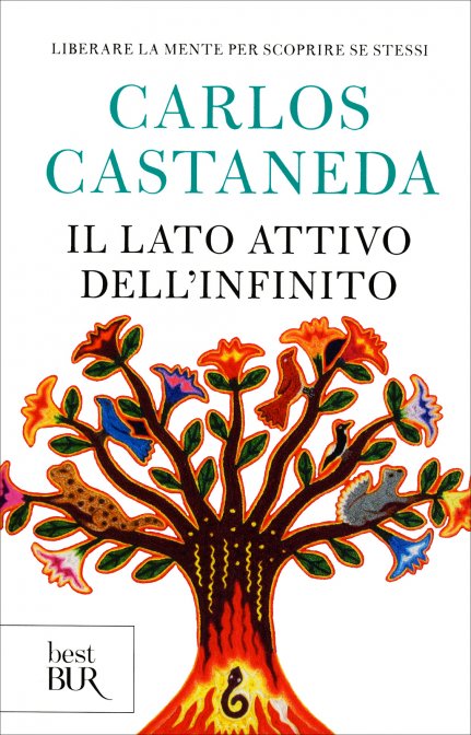 Il Lato Attivo dell'Infinito - Carlos Castaneda