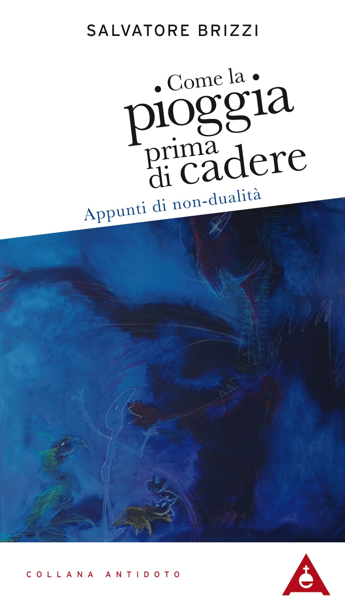 Come la pioggia prima di cadere. Appunti di non-dualità - Salvatore Brizzi