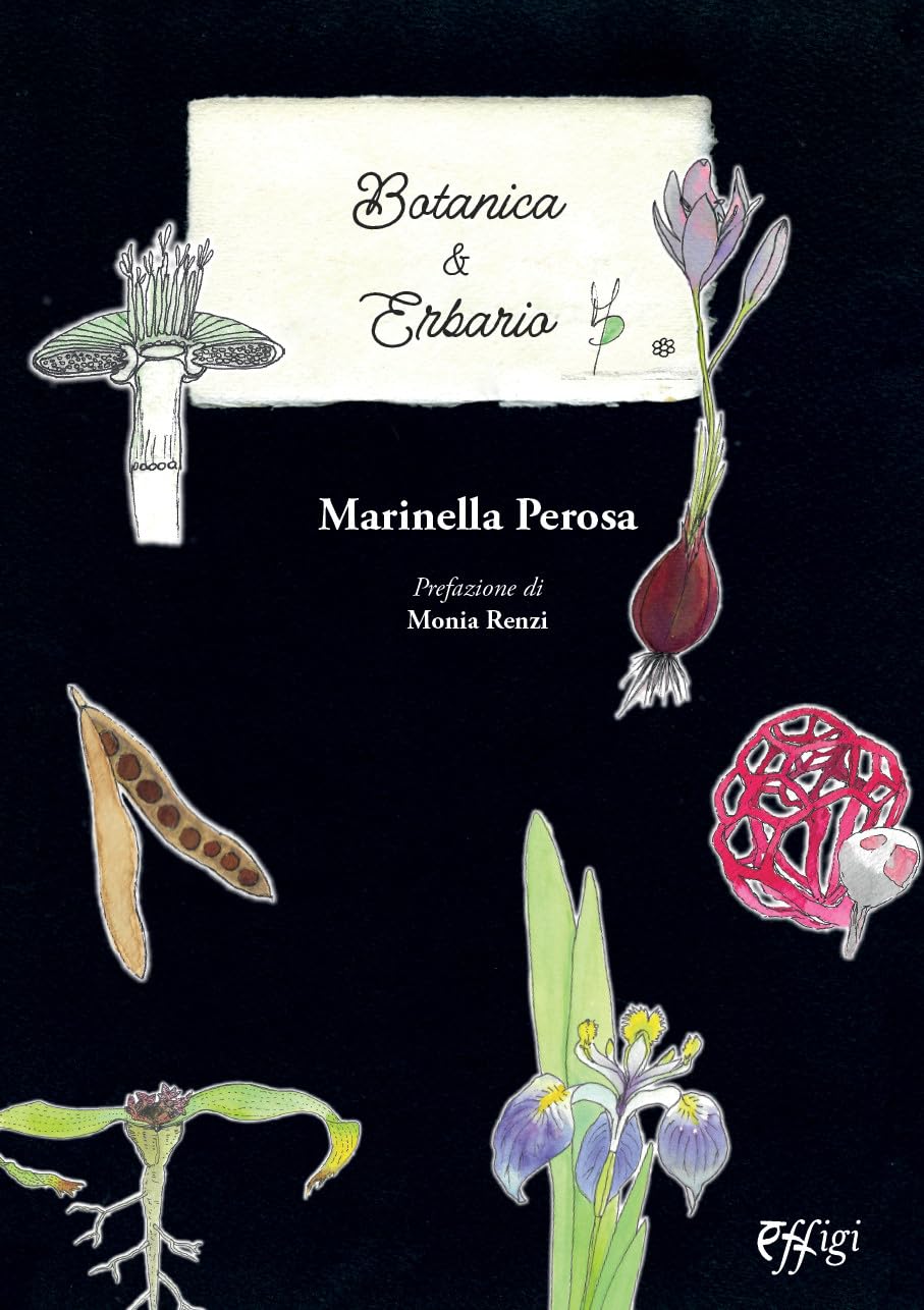 Botanica & Erbario - Marinella Perosa