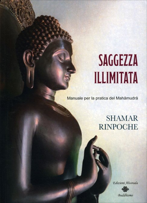 Saggezza Illimitata. Manuale per la pratica del Mahāmudrā - Shamar Rinpoche